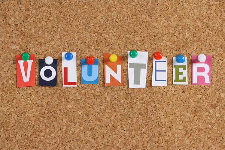 Seasonal Volunteer Seasonal Volunteer
